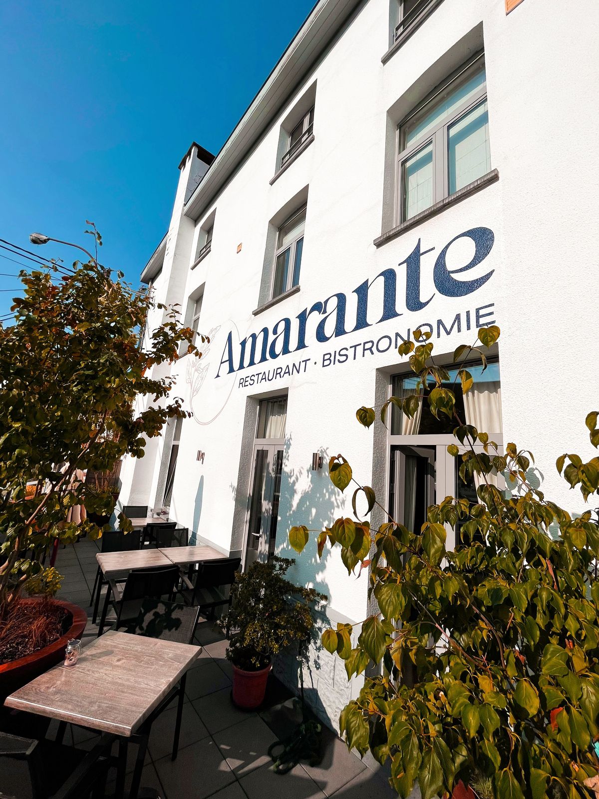 Amarante
